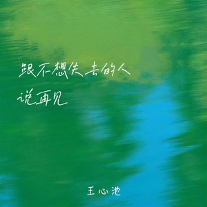 跟不想失去的人说再见