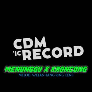 DJ MENUNGGU X KRONCONG SELAIN DIRIMU KASIH MELODI WELAS