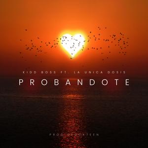 Probandote (feat. kiddboss & La Unica Dosis)