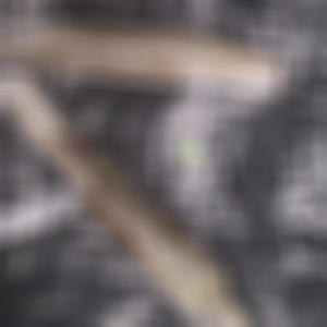 Iluvdrugs (Explicit)