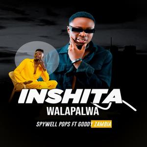 Inshita walapalwa (feat. Goddy Zambia)