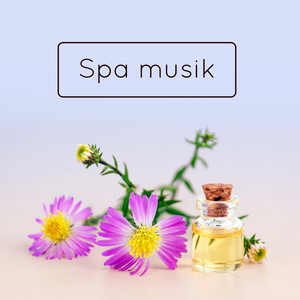 Spa musik: Massage och välbefinnande, Avkopplande naturljud, Helande instrumentell musik, Mindfulnessträning