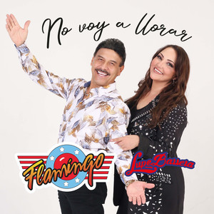 No Voy a Llorar
