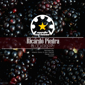 Blackberry (Alberto Sainz & Idan Gerber Remix)