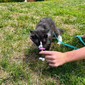 I Love It All (Explicit)