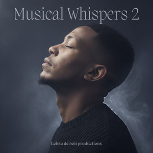 Lebza de boii - This Is House Music (Vocal mix)