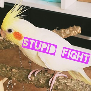 STUPID FIGHT (Demo)
