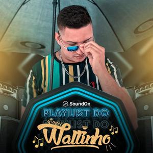 Mc Waltinho (Explicit)