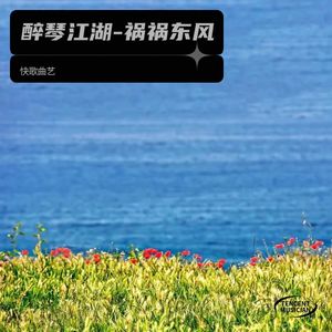 醉琴江湖-祸祸东风 - 快歌曲艺封面