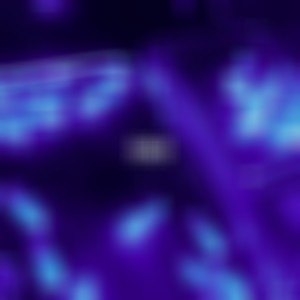 BloodOnMyLegs. (Explicit)