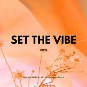 Set the Vibe