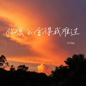 你怎么舍得我难过