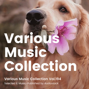 Various Music Collection Vol.194 -Selected & Music-Published by Audiostock-