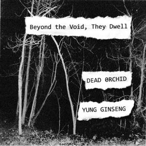 Beyond the Void, They Dwell (Explicit)