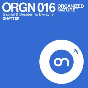 Shatter (Original Mix)