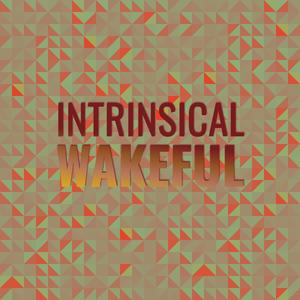 Intrinsical Wakeful