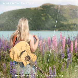 House Bus Steve - Acoustic