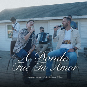 A Donde Fue Tu Amor