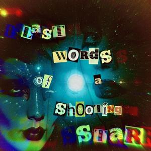 Last Words of a Shooting Star