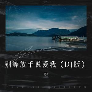 别等放手说爱我（DJ版）