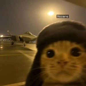 talk2much (Explicit)