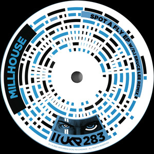 Spot A Fly (Dj Bruce Lee Remix)