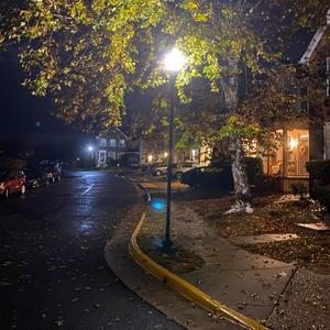 by the neck (Explicit)