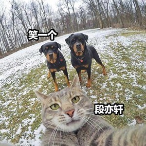 九级震撼 (DJ版)