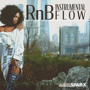 RnB Instrumental Flow Volume 22