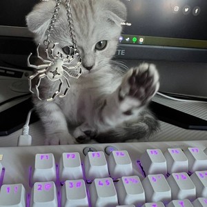 fl0umy - everydaysmoking (Explicit)