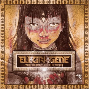 The Secret of The Druid (Original Mix)