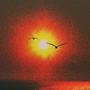 Shine on me (feat. Petite League)