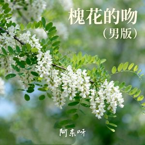 槐花的吻 (男版)