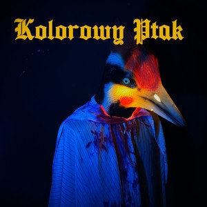 Kolorowy Ptak