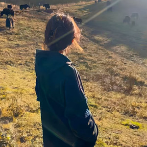 心似雪格外冷 (拜克拜克)