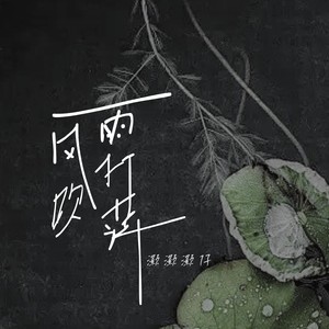 风吹雨打萍
