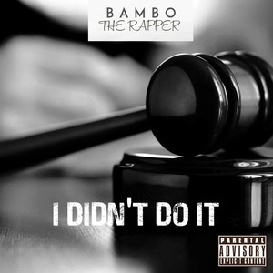 I Didn't Do It (Explicit)