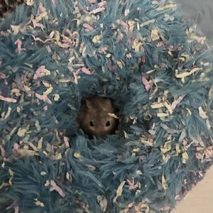 Crzy 4 U (feat. Frostxy!)