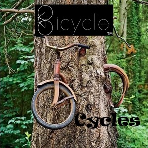 Cycles