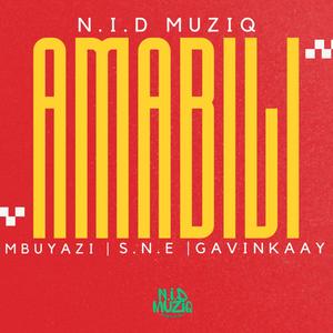 AMABILI (feat. Mbuyazi, S.N.E & Gavinkaay)