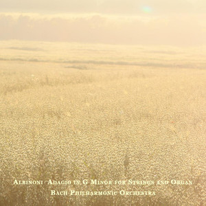 Adagio In G Minor For Strings And Organ