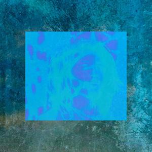 Follow the Leader (feat. Kennedy Hollows, Elyzr & CRSMilano) (Explicit)