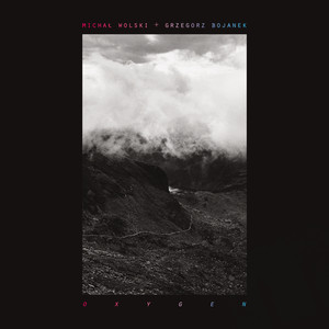 The Never-Ending Search