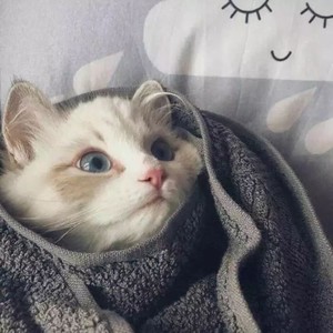 刻在我心底的名字 (Demo)