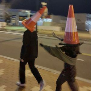 I Can't Fall In Love Tonight