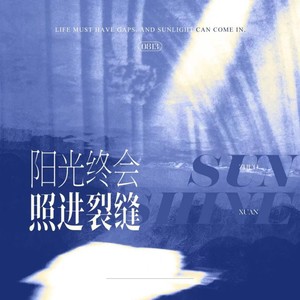 阳光终会照进裂缝