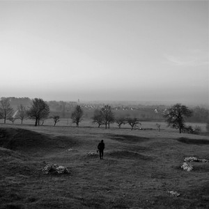 Song for the Birds, Birds for the Song