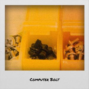 Computer Bolt