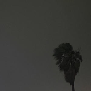 Poppin Now (Explicit)