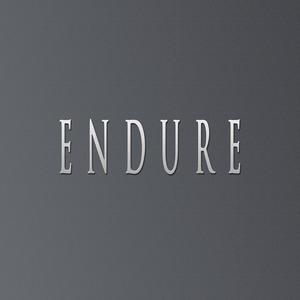 ENDURE (feat. StuBeatZ)